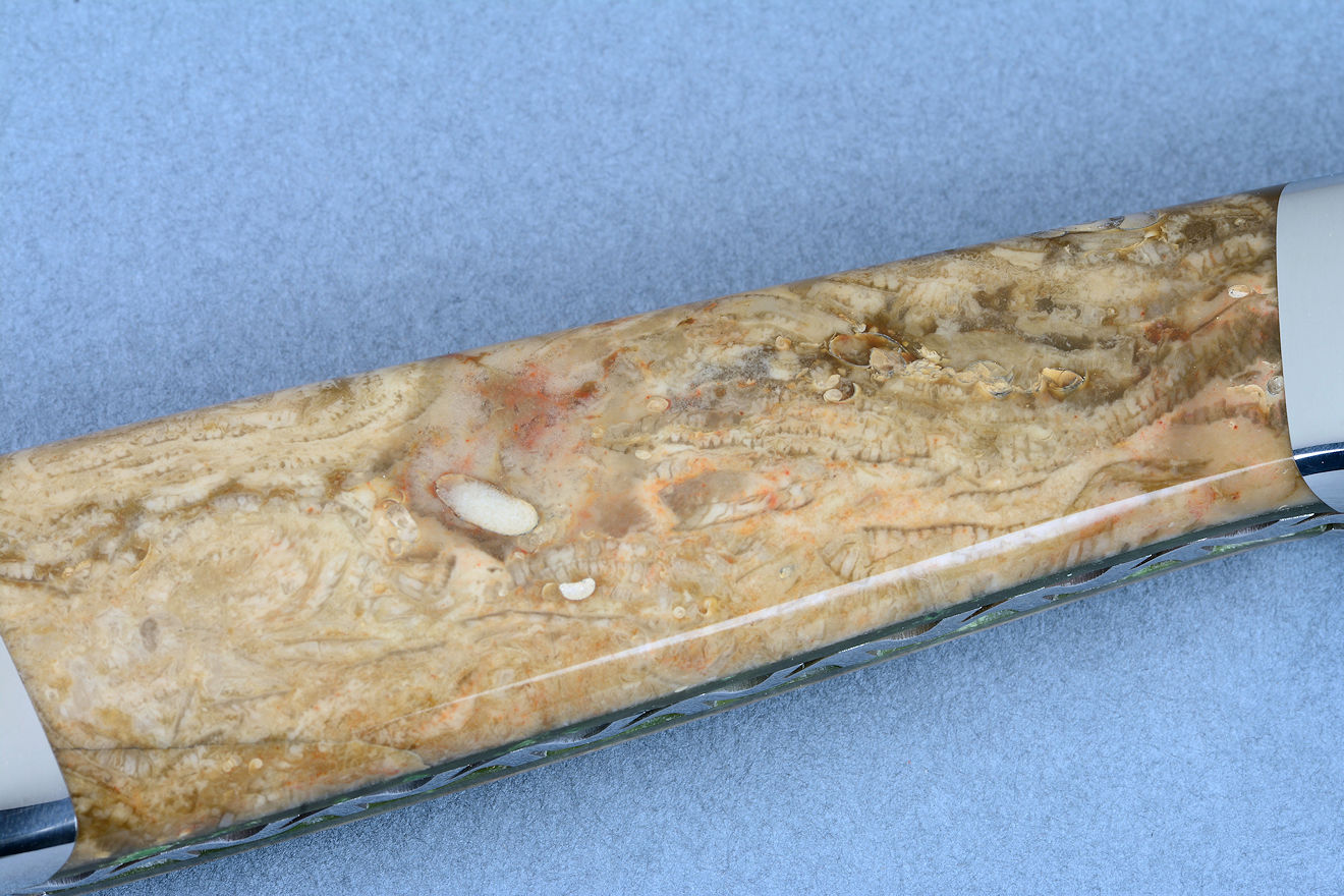 "Clarau Magnum" fossilized fern gemstone on knife handle, 3 power magnification