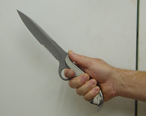 http://www.jayfisher.com/_borders/KnifeGripSaberRing.jpg