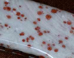 "Lacerta" fine handmade knife, 10x magnification showing iron-bearing inclusions in milky dolomite, with "bleeding" appearance 