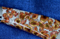 "Phact" fine handmade knife, 6 power enlargement of obverse side gemstone handle scales showing profuse pattern and fascinating intracies of Poppy Jasper gemstone