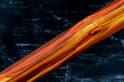 "Vespula" Fine Custom Knife, detail of slip sheath and fit between cocobolo rosewood and African padauk