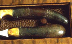 Petrified Dinosaur bone gemstone knife handles with mokume gane bolsters
