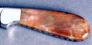 Petrified (Fossilized) wood from the Petrified forest in eastern Arizona is chalcedony and jasper