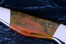 4 power enlargement of caprock petrified wood showing vibrant color and pattern