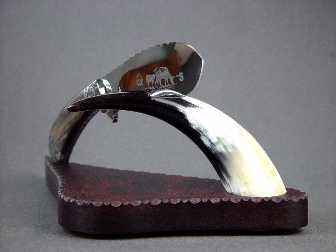 Polished Cow Horn on custom knife display stand: Cattleman