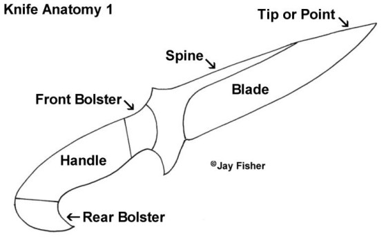 Knife Anatomy, Parts, Components: Bolsters, Point Shapes, Handles, Blade, Spine
