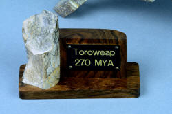 "Toroweap" custom knife sculpture in hand-cast bronze, 440C high chromium stainless steel blade, 304 hand-engraved stainless steel bolsters, Picasso Marble gemstone handle