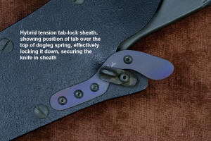Hybrid tension tab-lock sheath, locked position of tab lock