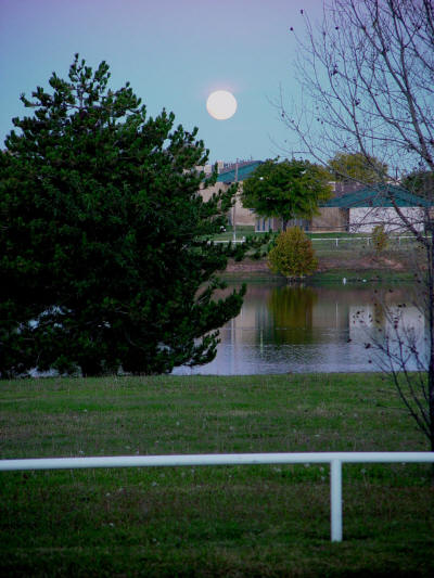 Moon Setting At Sharp Instinct Studio